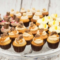 assorted-mini-cupcakes